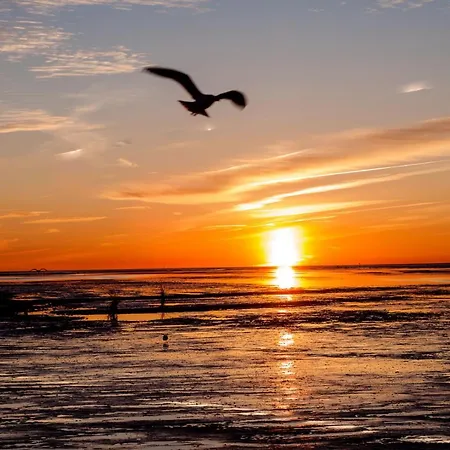 Dom wakacyjny Braband - Rugenbargsweg 23 Cuxhaven